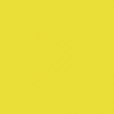 Primrose Yellow.PNG